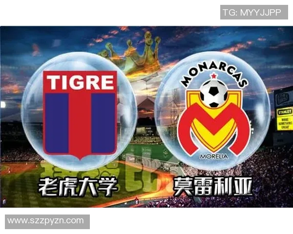 2017年墨美洲对阵老虎大学的精彩赛事回顾与分析