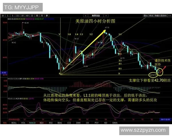 伊朗与韩国足球对决数据分析及历史交锋记录详解