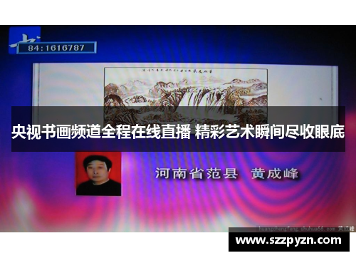 央视书画频道全程在线直播 精彩艺术瞬间尽收眼底