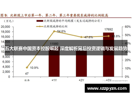 五大联赛中国资本控股崛起 深度解析背后投资逻辑与发展趋势